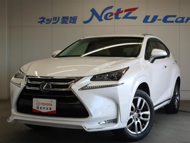 NX 300h バージョンL 
