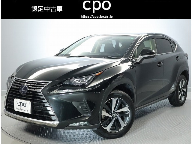 NX 300h Iパッケージ 