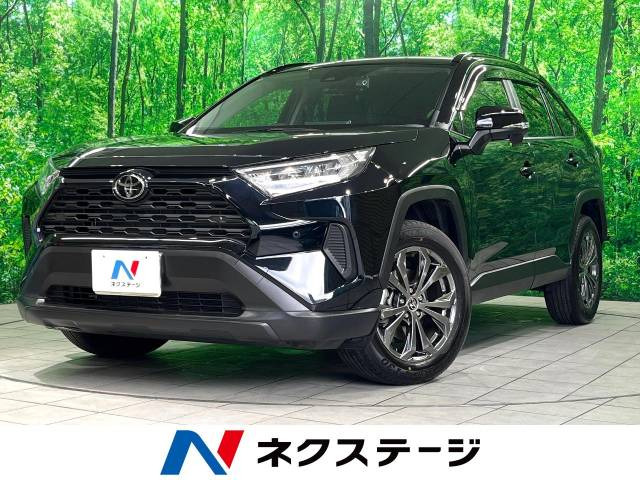 RAV4 2.0 X 