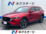 沖縄県内での販売・登録が条件※宮古島除く