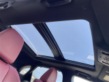 RX 300 Fスポーツ 4WD 4WD 本革シート