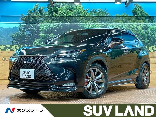 NX 300h Fスポーツ 
