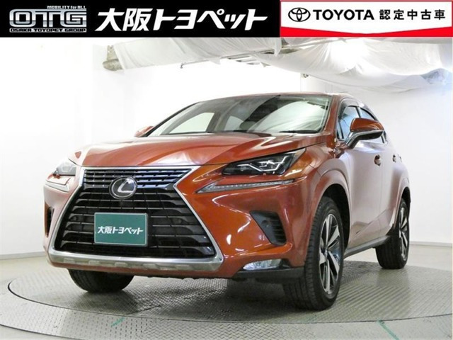 NX 300 バージョンL 
