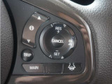【アダプティブクルーズコントロール】予め設定した車速内でクルマが自動的に加減速。前走車との適切な車間距離を維持しながら追従走行します。【LKAS】車線維持支援システムでステアリング操作を支援。