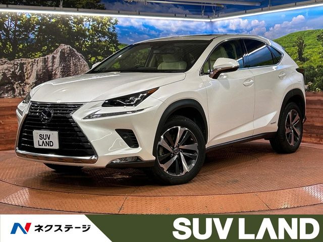 NX 300h Iパッケージ 
