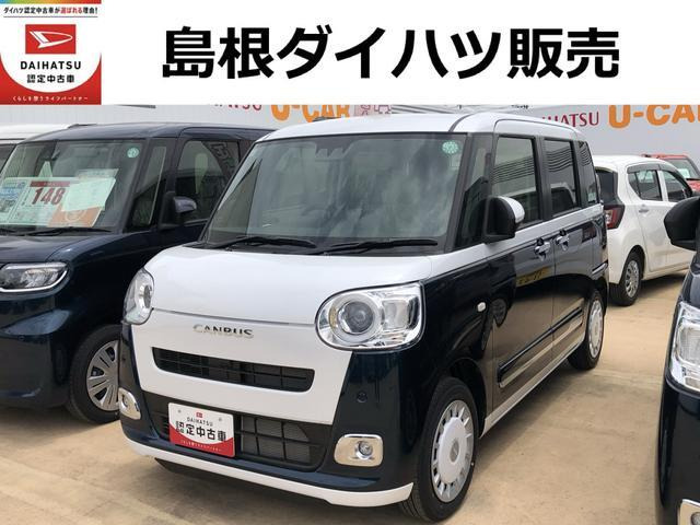 ムーヴキャンバス  ストライプス G