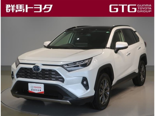 RAV4 2.5 ハイブリッド G E-Four 4WD 