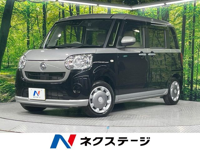 ムーヴキャンバス X SAIII 