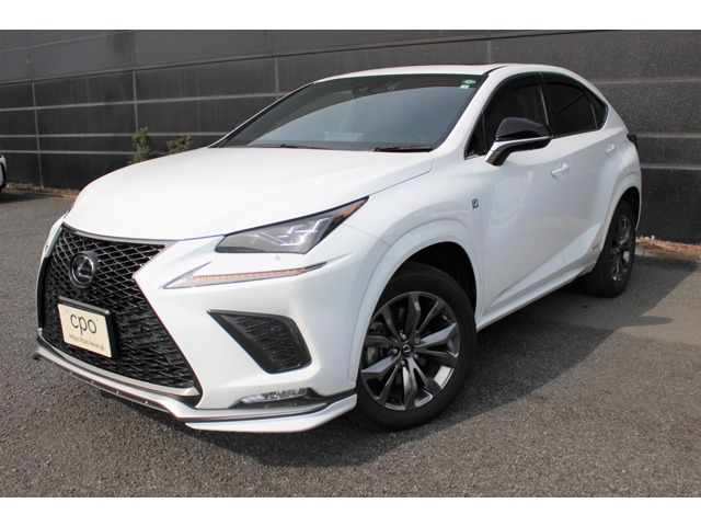 NX 300h Fスポーツ 