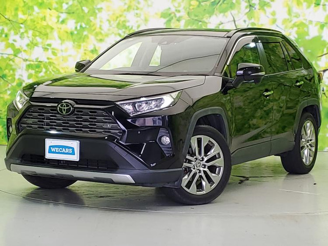 トヨタRAV4 MXAA54 GZ ヘッドライト