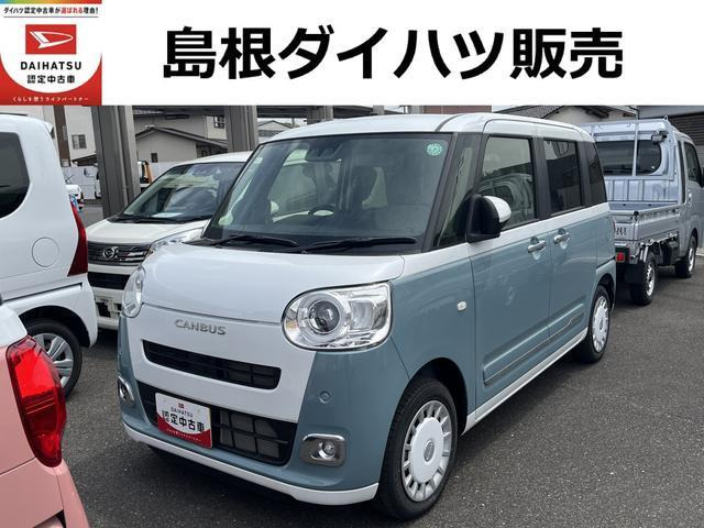 ムーヴキャンバス  ストライプス G