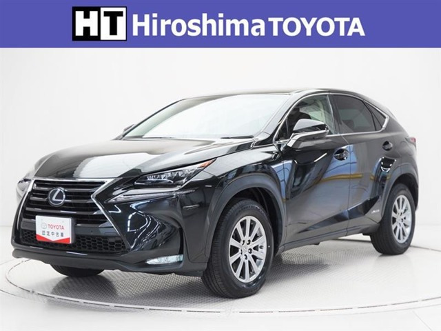 NX 300h Iパッケージ 