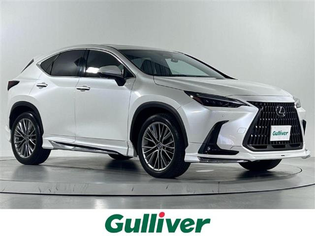 NX 250 バージョンL 本革シート サンルーフ
