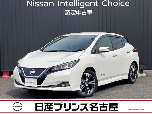 リーフ G 