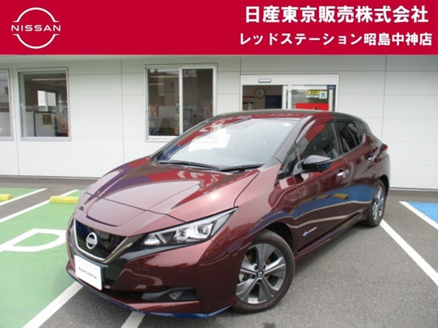 リーフ  e+ アーバンクロム