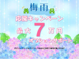 308SW アリュール 