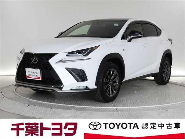 NX 300 Fスポーツ 