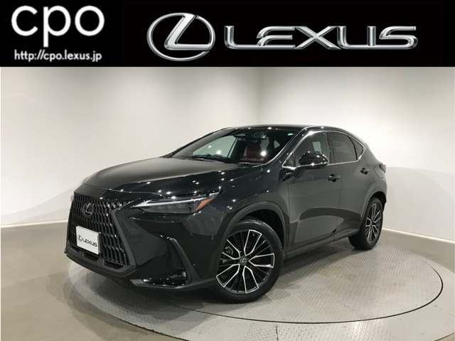 NX  