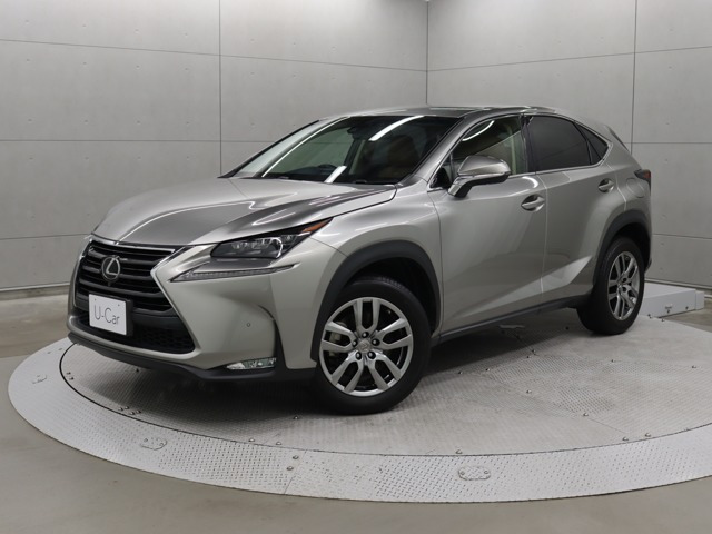 NX 200t Iパッケージ 