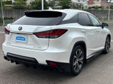 RX 300 バージョンL 