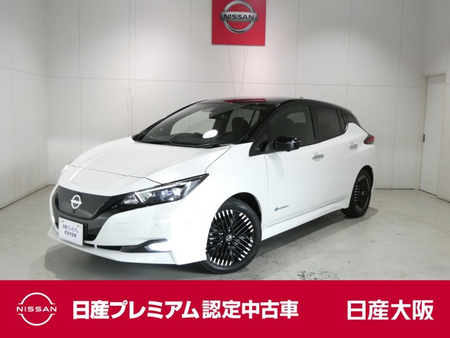 リーフ G 