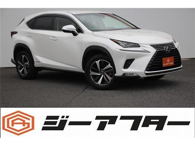 NX 300h Iパッケージ 
