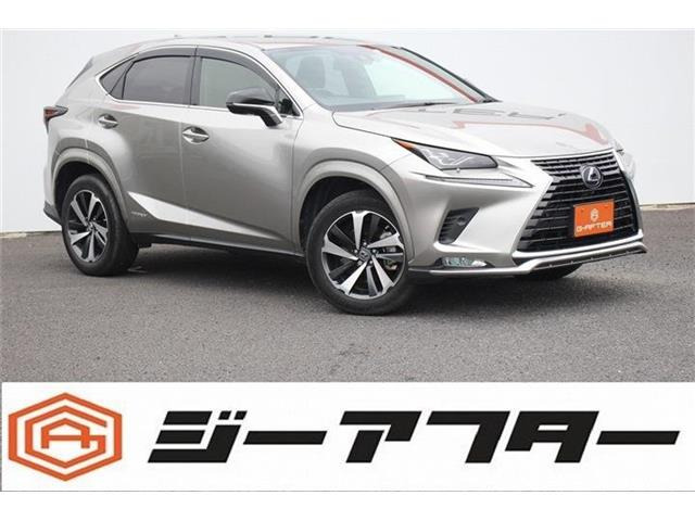 NX 300h スパイス&シック 黒革3眼LED360°カメラ電動RゲートBSM