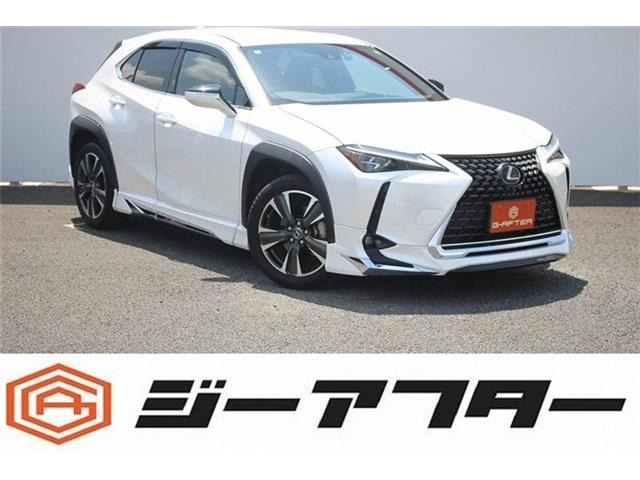 UX 200 バージョンL モデリスタOP全周囲マークレビンソン黒革TV