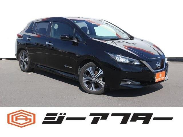 リーフ X 10万台記念車 純正ナビBカメラ地デジ寒冷地仕様ETC