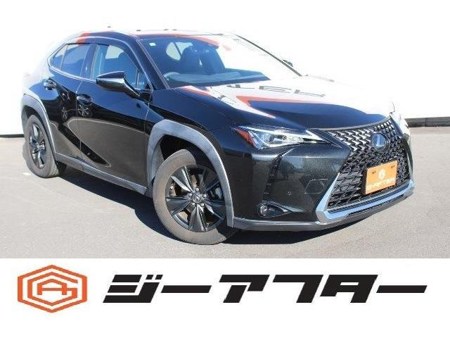 UX 200 バージョンC 純正ナビTV運転支援OP17AW電動RドアLED