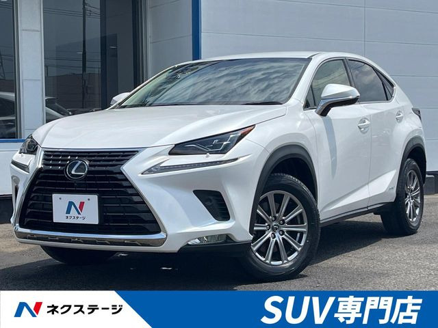 NX 300h Iパッケージ 