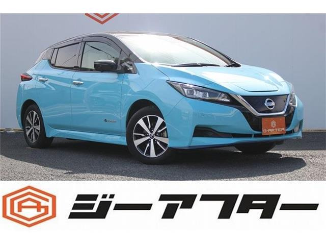 リーフ e+ X プロパイ純正ナビTV360°カメラLEDツートン
