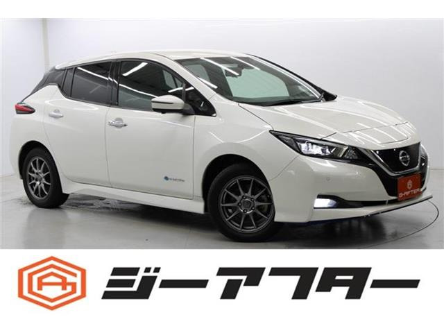リーフ e+ X R2登録9型ナビプロパイ寒冷地仕様LED