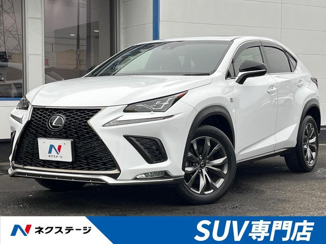 NX 300 Fスポーツ 
