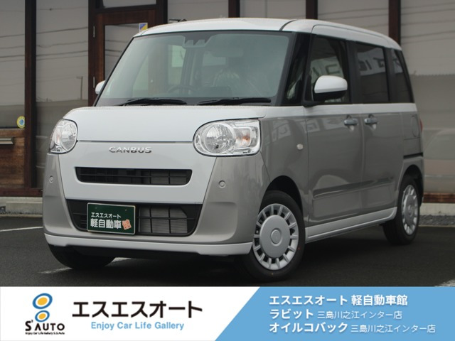 ムーヴキャンバス  ストライプス X