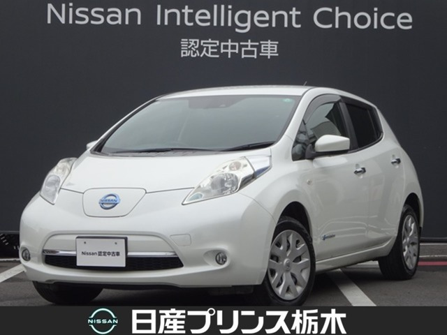 リーフ 30kWh X 