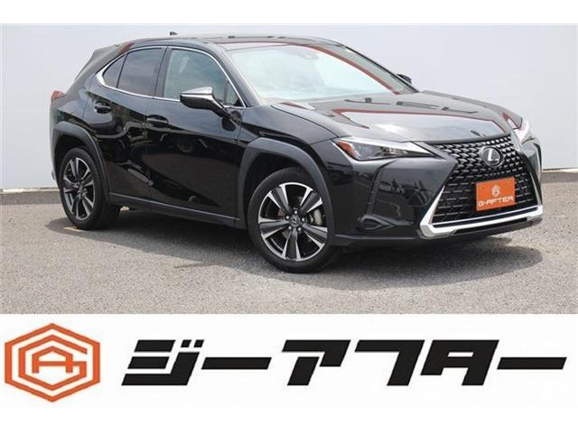 UX 200 R5登録OP18AW12.3型ナビBカメラETC