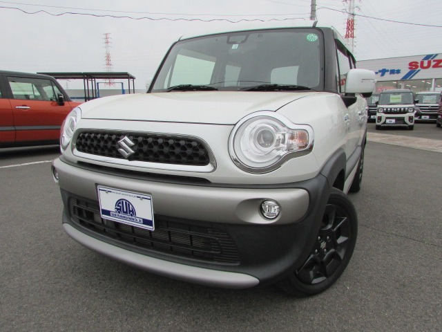 クロスビー 1.0 ハイブリッド(HYBRID) MZ 