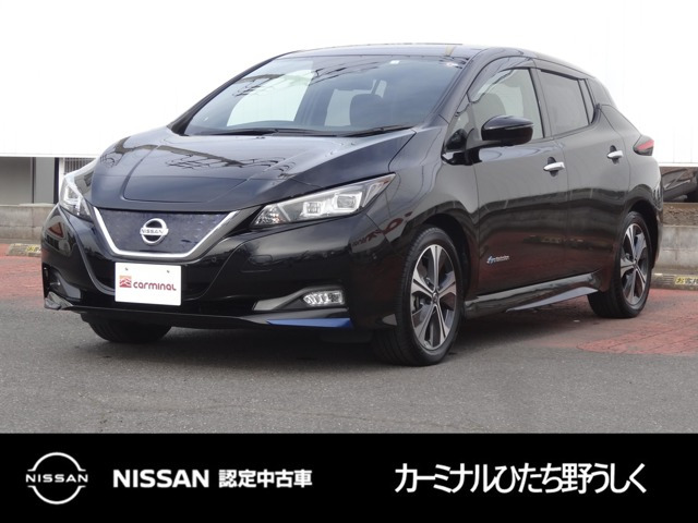 リーフ G 