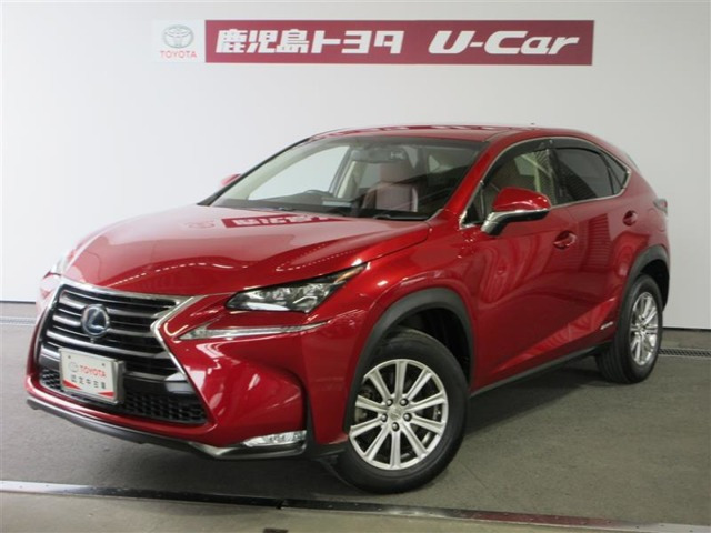 NX 300h Iパッケージ 
