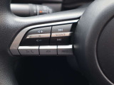 ステアリング左側にはオーディオコントロールスイッチを搭載。走行中でも簡単に音量の上げ下げ、曲の送り戻し、モードの切り替えが可能です。クイックに切り替えてお好みの音楽で楽しいドライブを!