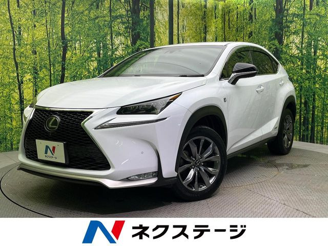 NX 300h Fスポーツ 