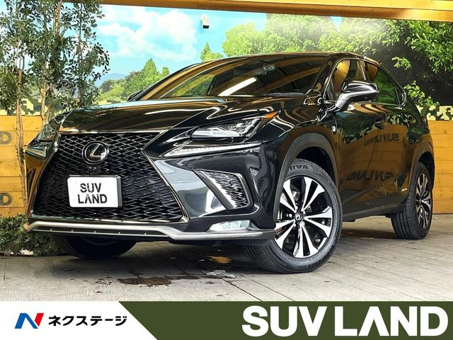 NX 300h Fスポーツ 