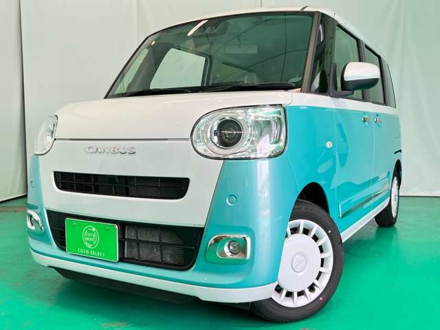 ムーヴキャンバス  ストライプス G