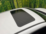 NX 300h Fスポーツ 