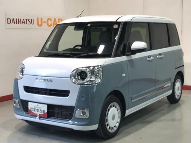 ムーヴキャンバス  ストライプス G