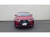 NX 300h 