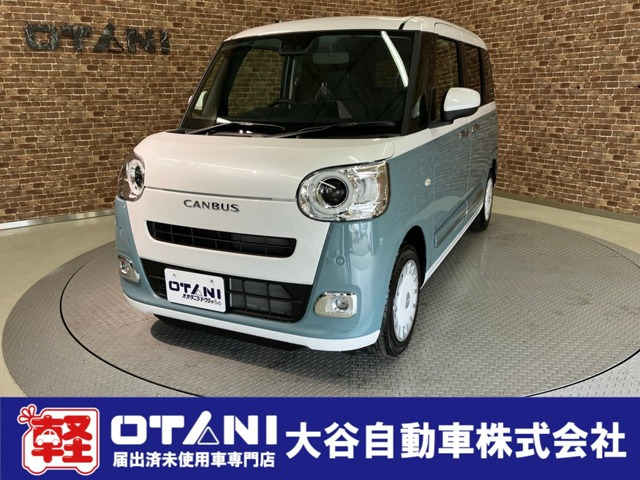 ムーヴキャンバス  ストライプス G