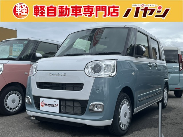 ムーヴキャンバス  ストライプス G