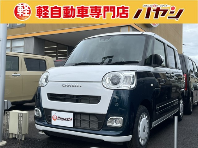 ムーヴキャンバス  ストライプス G